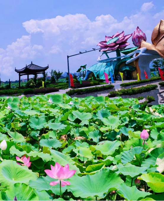 1693543655103753.png image.png