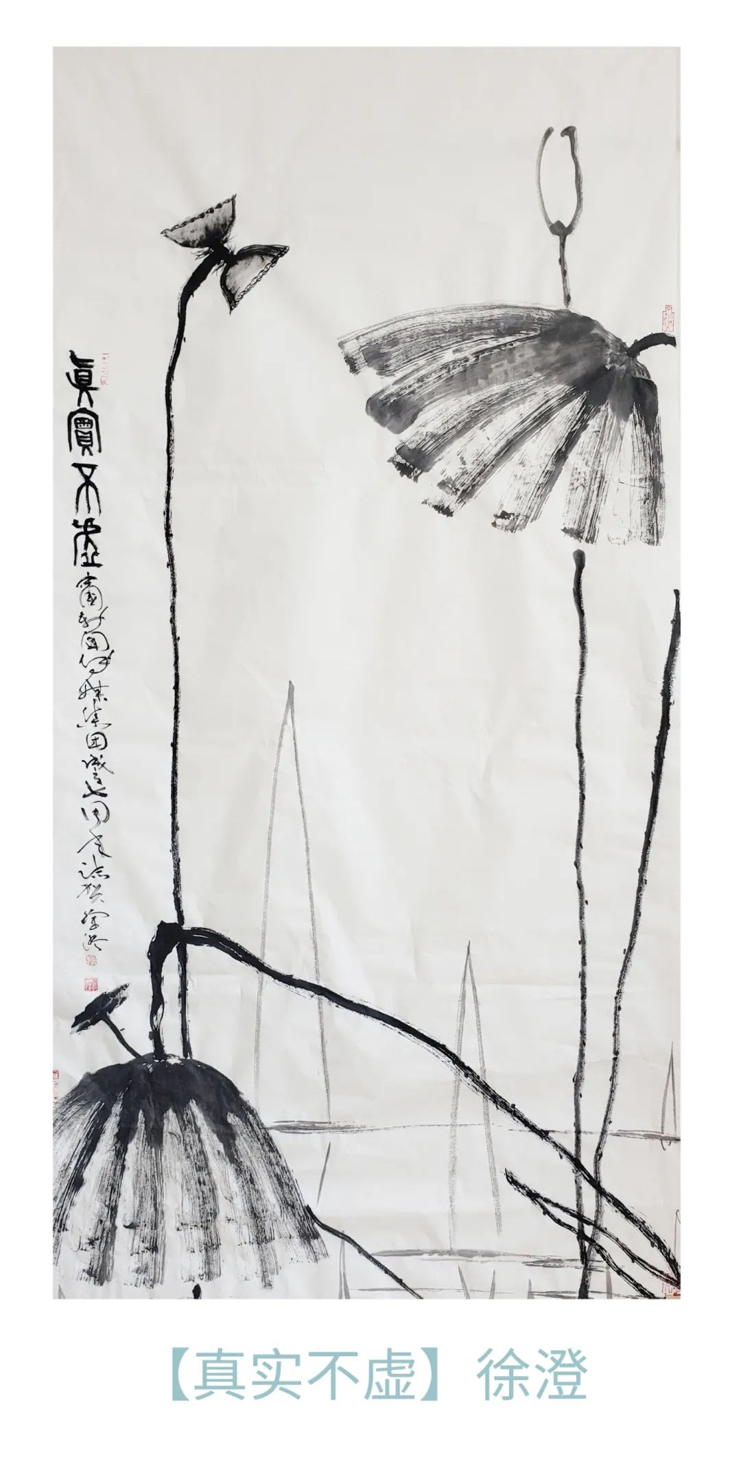 1698311918150495.jpg 去15.jpg