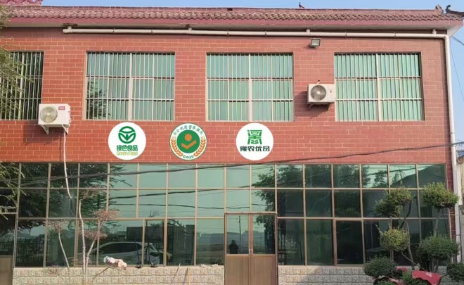 一枚“無抗蛋”的初心與擔當(圖7) 7.jpg