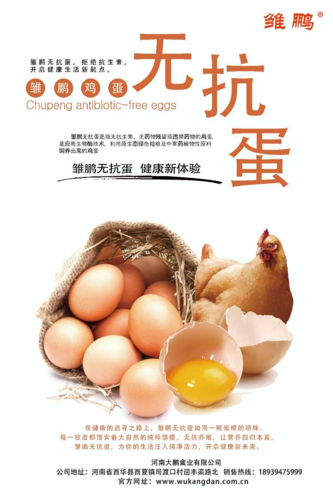 一枚“無抗蛋”的初心與擔當(圖2) 9.jpg